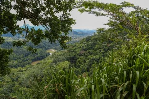 Nice view from the observation deck. Shri Lanka on rainy day. Stock Photos