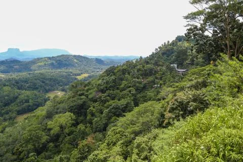 Nice view from the observation deck. Shri Lanka on rainy day. Fotos Stock