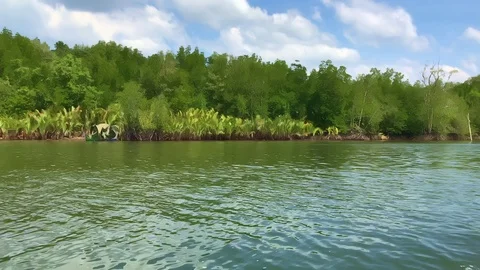 Nice view of phi phi island from the speedboat during the clear summer day 스톡 동영상 125527196