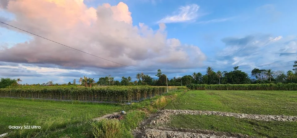 Nice View Stock Photos