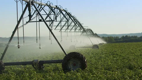 Nice view pivot at work in potato field, watering crop for more growth. Center Stock Footage 212193596