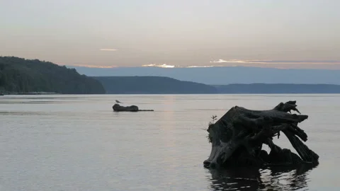 Nice view of the river Stock Footage 88029343