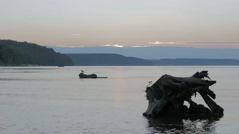 Nice view of the river Video stock 88030545
