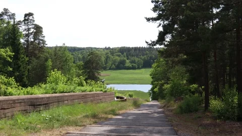 Nice view a summer day. Video stock 250476296