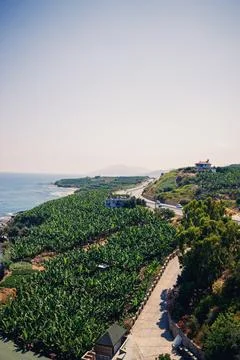 Nice view of the trees and the road that stretches along the Mediterranean Se Stock Photos