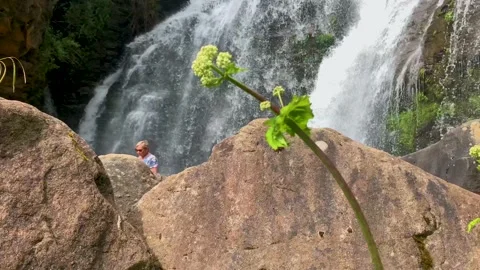 Nice view of the waterfall in the mountains of the North Caucasus. Stock Footage 157722981