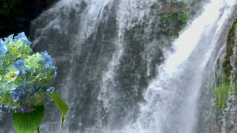 Nice view of the waterfall in the mountains of the North Caucasus. Stock Footage 157723102