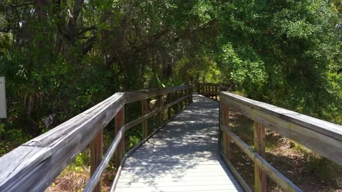 Nice walking trail in Florida! Stock Footage 155211016
