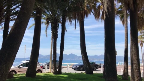 Nice Waterfront View Through Palm Trees Stock Footage 315646682