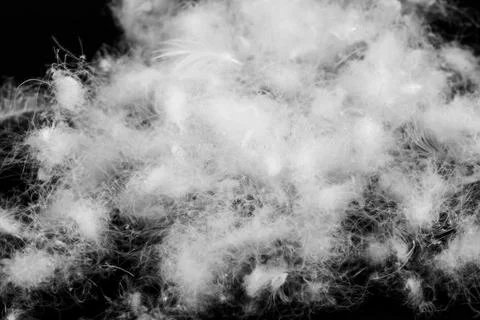 Nice white duck down. texture or background 스톡 사진