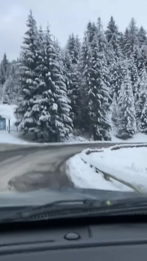 Nice winter landscape with the road the forest and the blue sky. Vertical Stock Footage 163038145