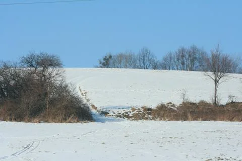 Nice winter Stock Photos
