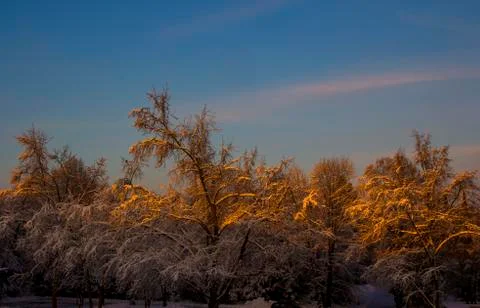 Nice winter time Stock Photos