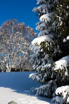 Nice winter time Stock Photos