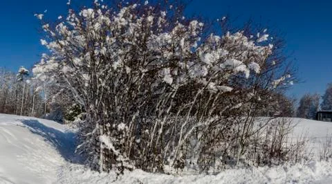 Nice winter time Stock Photos