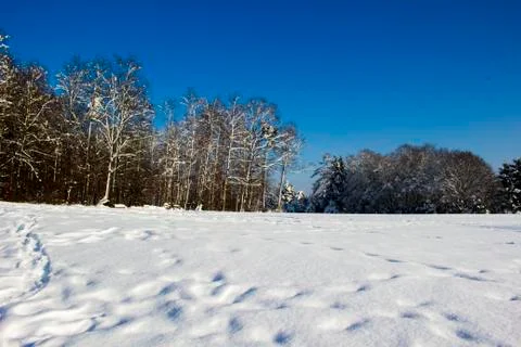 Nice winter time Stock Photos