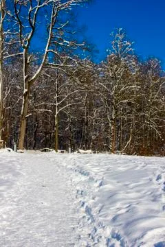 Nice winter time Stock Photos