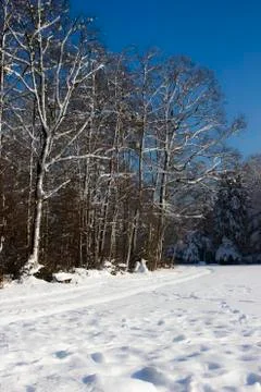 Nice winter time Stock Photos