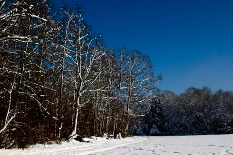 Nice winter time Stock Photos