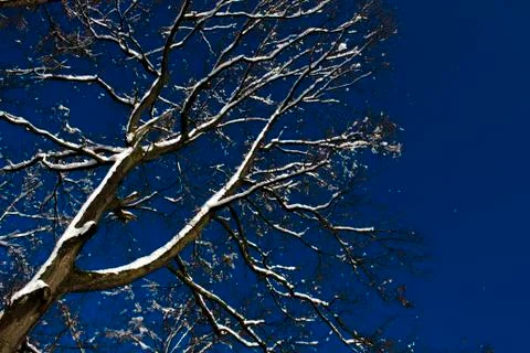 Nice winter time Foto stock