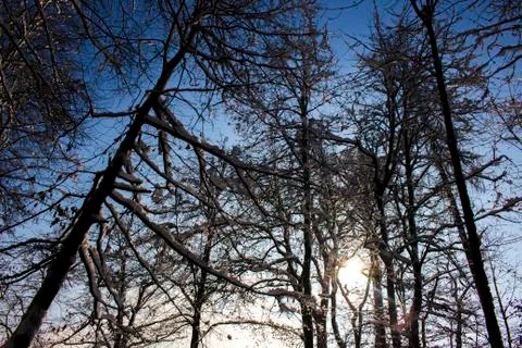 Nice winter time Stock Photos