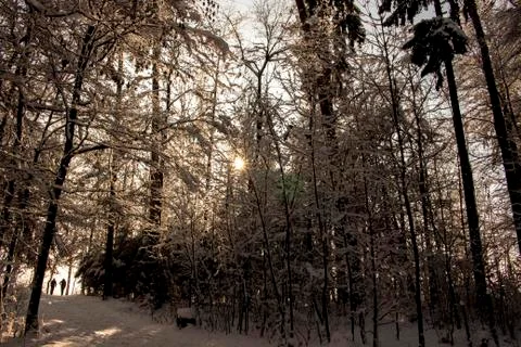 Nice winter time Stock Photos