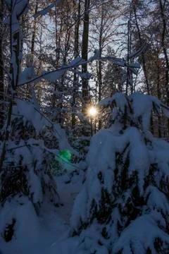 Nice winter time Stock Photos