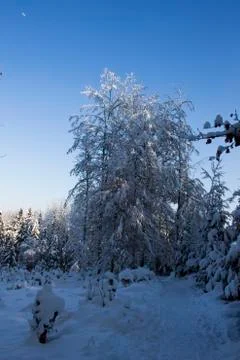 Nice winter time Stock Photos