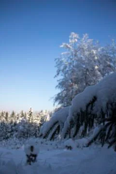 Nice winter time Stock Photos