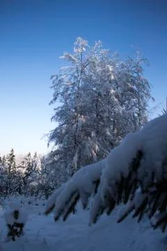 Nice winter time Stock Photos