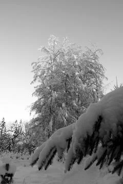 Nice winter time Stock Photos