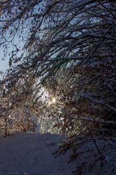 Nice winter time Stock Photos