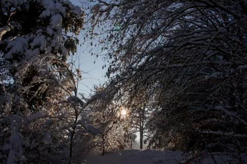 Nice winter time Stock Photos