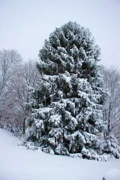 Nice winter time Foto stock