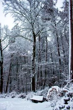 Nice winter time Stock Photos