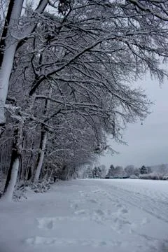 Nice winter time Stock Photos