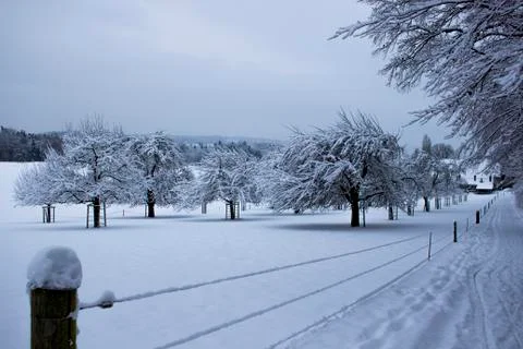 Nice winter time Stock Photos