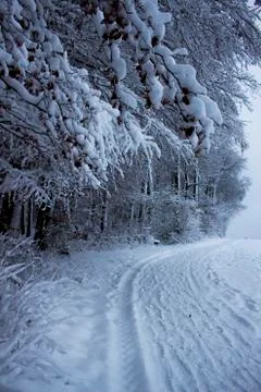 Nice winter time Stock Photos