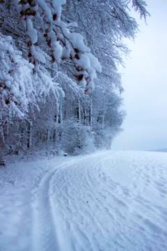Nice winter time Stock Photos