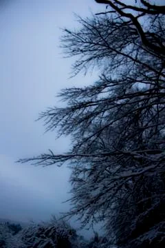 Nice winter time Stock Photos