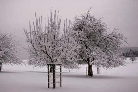 Nice winter time Stock Photos