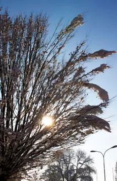 Nice winter time Stock Photos