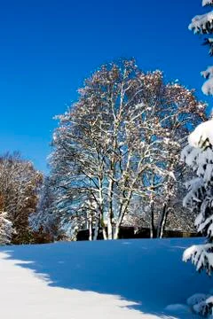 Nice winter time Stock Photos