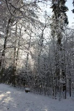 Nice winter time Stock Photos