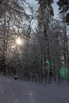 Nice winter time Foto stock