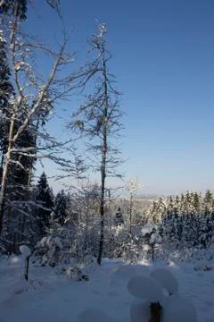 Nice winter time Stock Photos