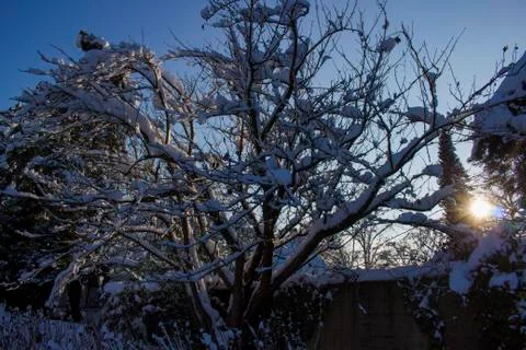 Nice winter time Stock Photos