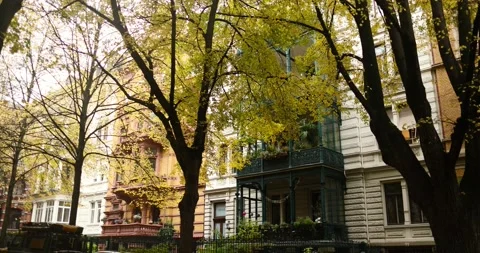 Nice yellow autumn trees after rainy day in old area in october, 4k Stock Footage 230487149