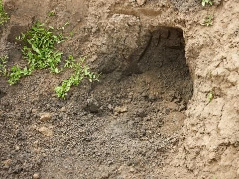 Niche in the clay soil Foto stock