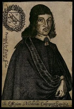 Nicholas Culpeper. Etching by T. Cross, 1653. Stock Illustration